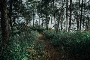 BIB: 
                            <button type="button" onclick="openModal(25657888)" class="btn btn-primary btn-sm float-right btn-popup" data-toggle="modal" data-target=".modal-high-quality">
                        <i class="fas fa-shopping-cart"></i> Add to Cart
                    </button>
                                            <button type="button" onclick="isThisMe(25657888, true)" class="btn btn-success btn-sm float-right btn-popup btn-isme hidden" data-toggle="tooltip" data-placement="bottom" title="นี่คือรูปของคุณใช่ไหม คลิกที่นี่เพื่อเอาเข้าอัลบั้ม">
                        <i class="fas fa-plus"></i> Add to album
                    </button>
                    <button type="button" onclick="isThisMe(25657888, false)" class="btn btn-warning btn-sm float-right btn-popup btn-isnotme hidden">
                        <i class="fas fa-ban"></i> Remove from album
                    </button>